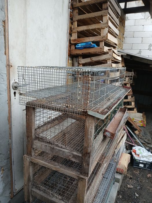 Клітки для перепелів