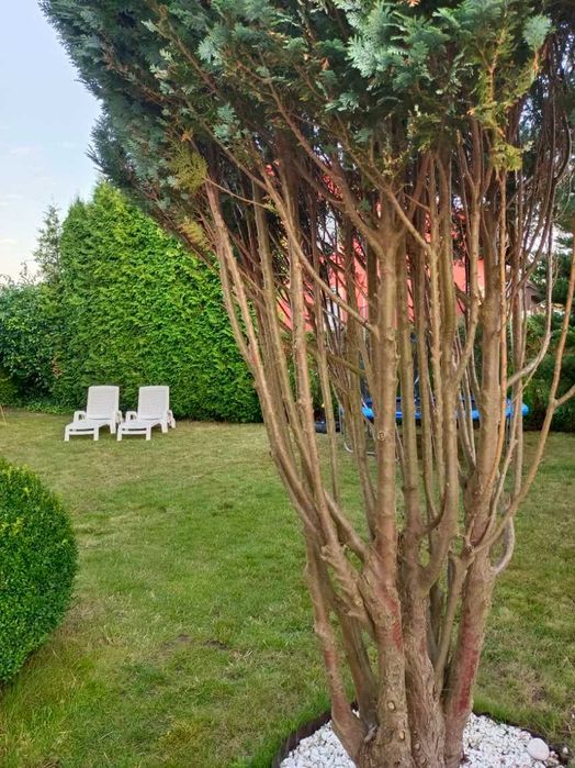 Domek letniskowy Isola Rowy