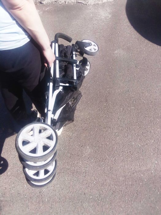 Прогулка Caretero moby