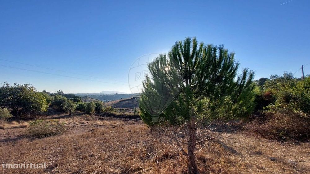 Terreno  para venda