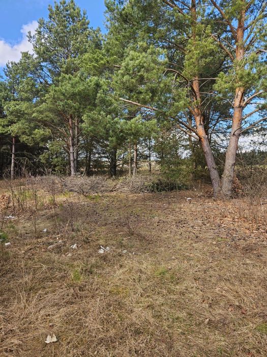 Działka budowlana Jachranka - Widok 4