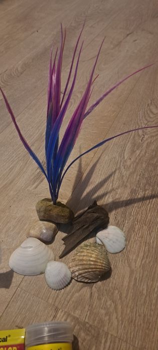 Wyposażenie do akwarium