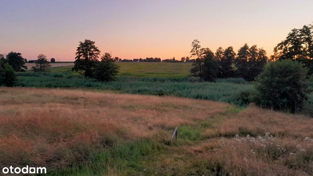 Działka na wsi z wydanymi WZ - Więcej