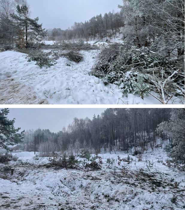 Opróżnianie mieszkań, garaży, piwnic, strychów / transport