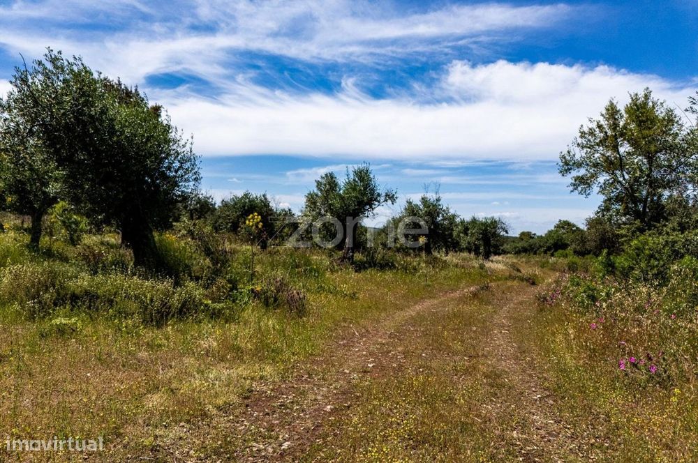 Terreno 5,5 ha com projeto turístico aprovado – Borba, Alentejo