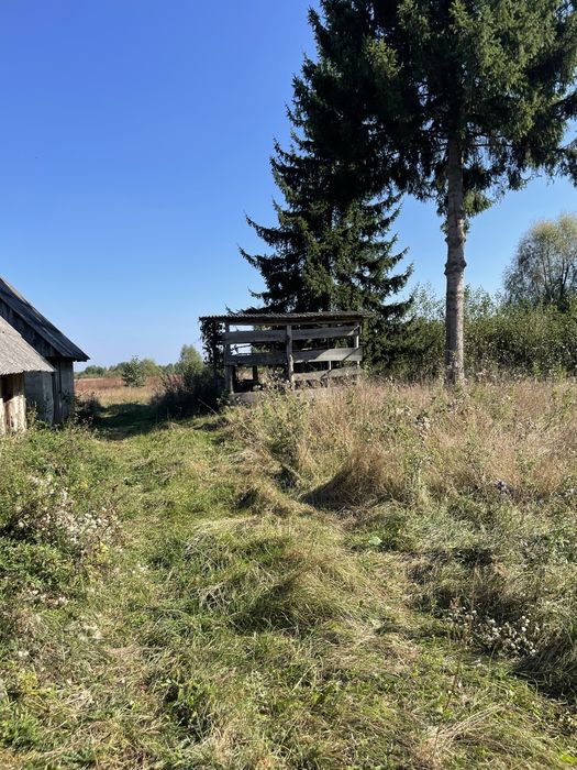 Будинок хутір біля Полиць