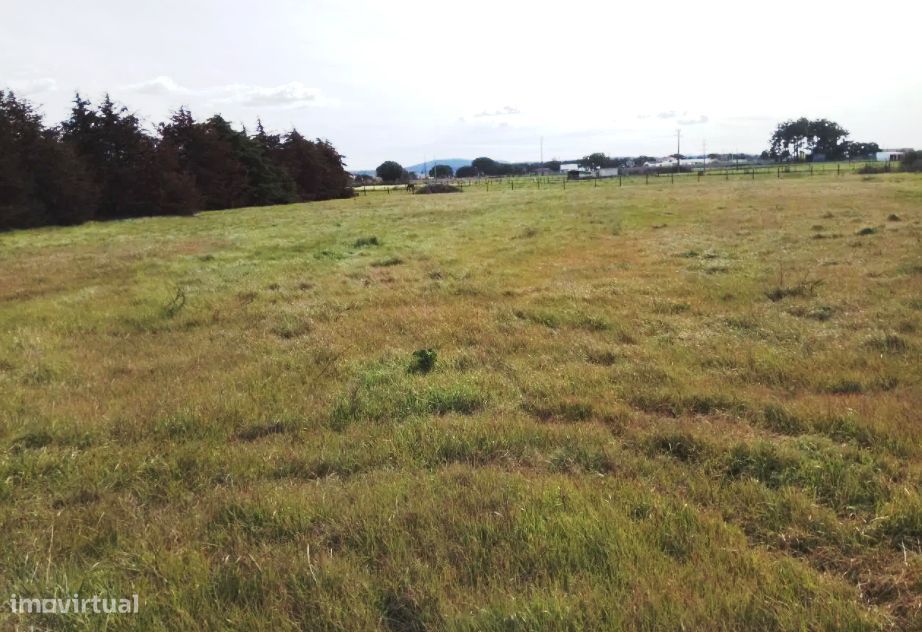 Terreno Rústico 5.000 m² - terrim -Pinhal Novo — Pinhal Novo, Setúbal