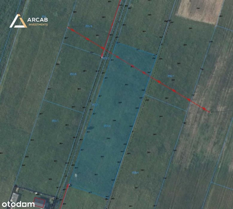 Sprzedam działkę budowlaną 3000 m² – Brzeziny