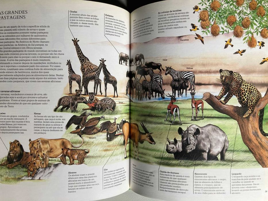 Onde Vivem os Animais