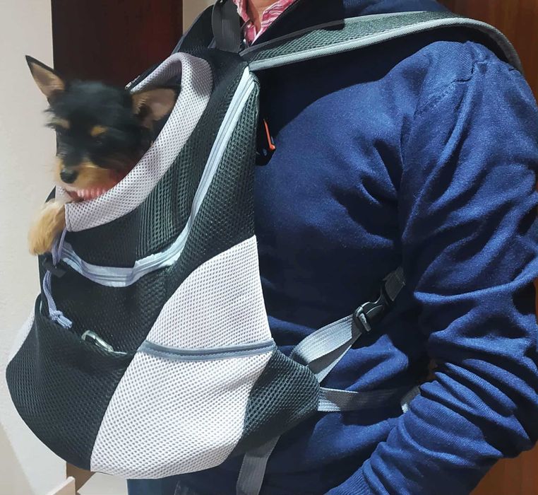 Mochila para cão (porte pequeno)