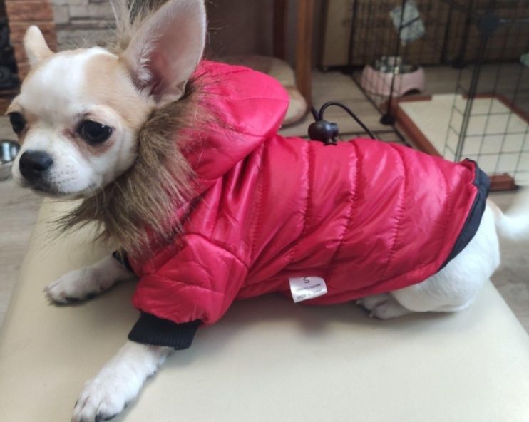 Куртка для собак