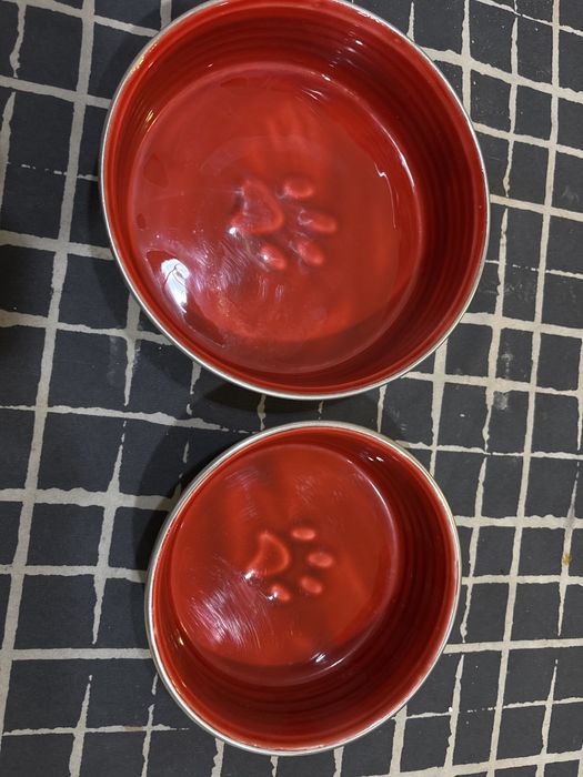 Dois bebedouros cao ou gato