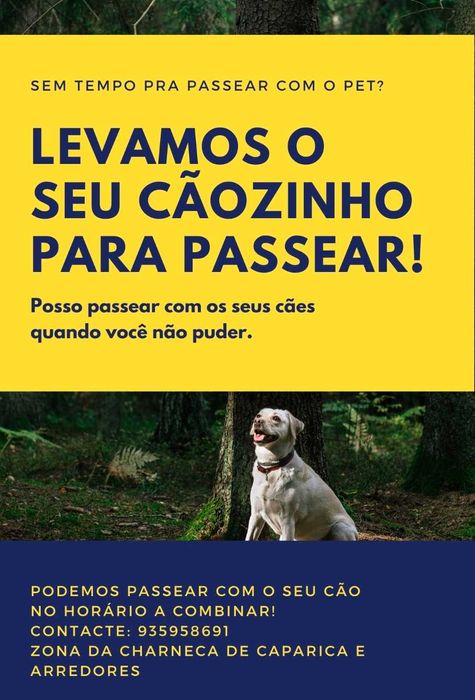 Levamos o seu cãozinho para passear