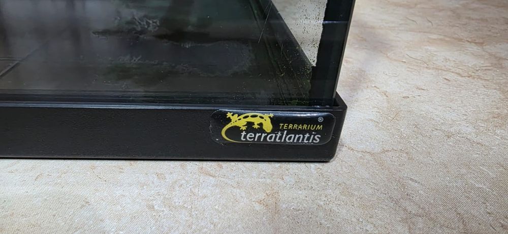 Aquario para Tartuga