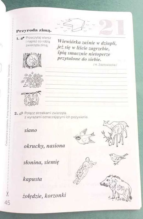 Kartkówki mądrej główki Olejniczak Stępień klasa 2 unikat