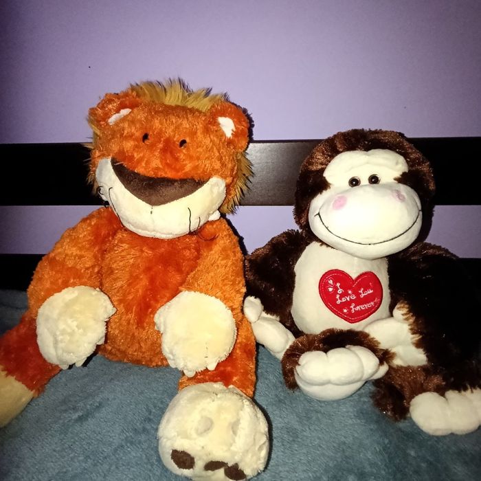 М'які іграшки з великими очима ТY