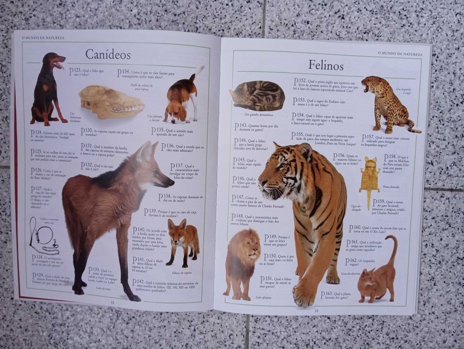 Livro de 1001 perguntas e respostas