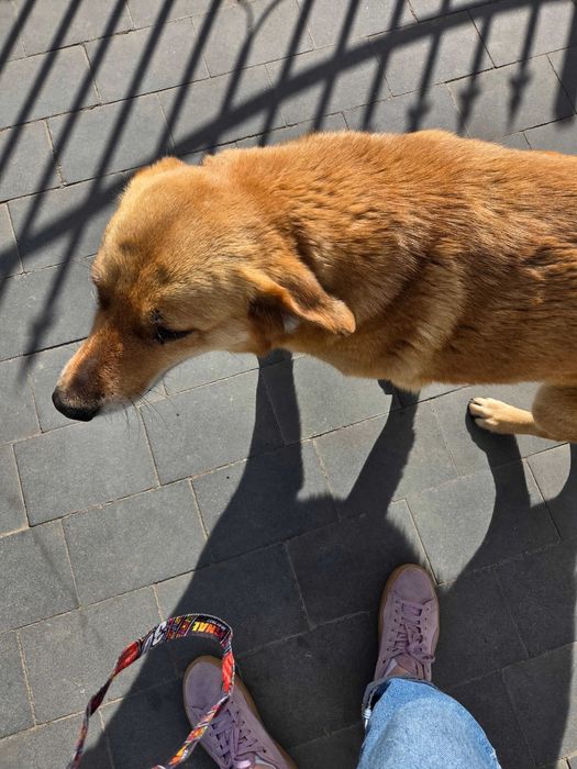 Nora oaza spokoju bardzo zrównoważona .