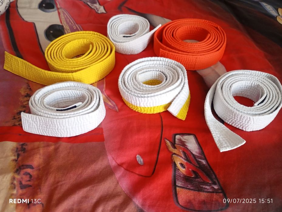 Fatos para  judo/karaté