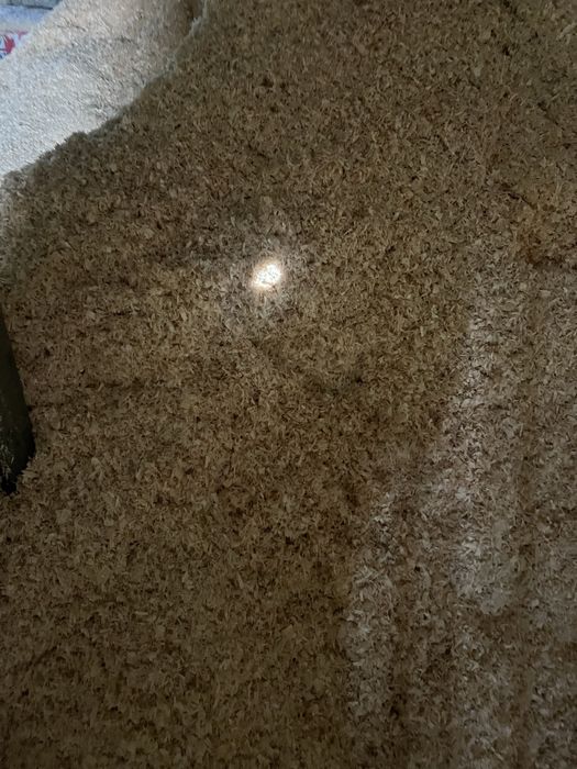 Grube trociny sosna/świerk dla zwierząt
