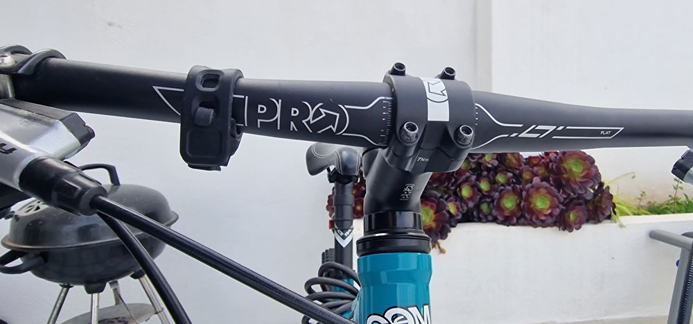 Commencal Ramones de 2010