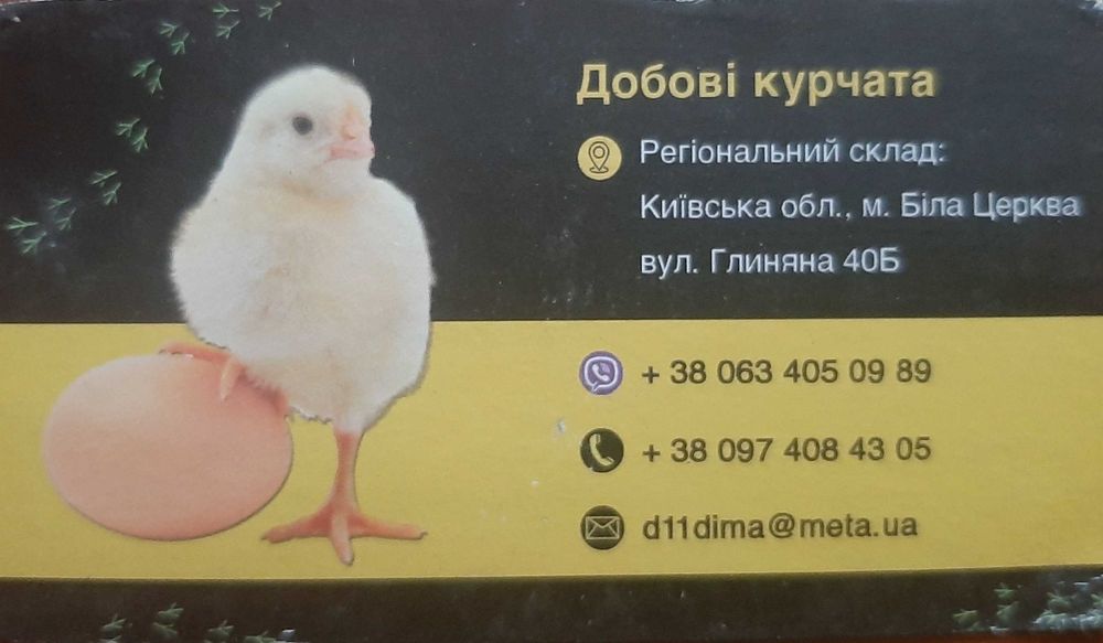 Добовий бройлер курчата