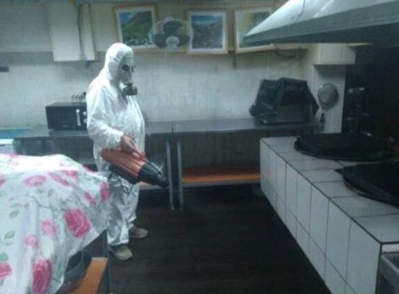Обробка від комах щурів плісняви Гарантія Безпечно та доступно