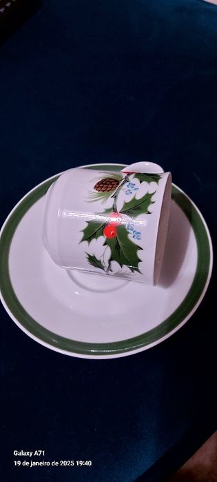 Serviço de Natal Spal