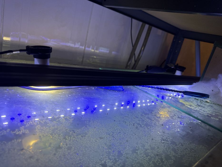 Aquario 160 litros