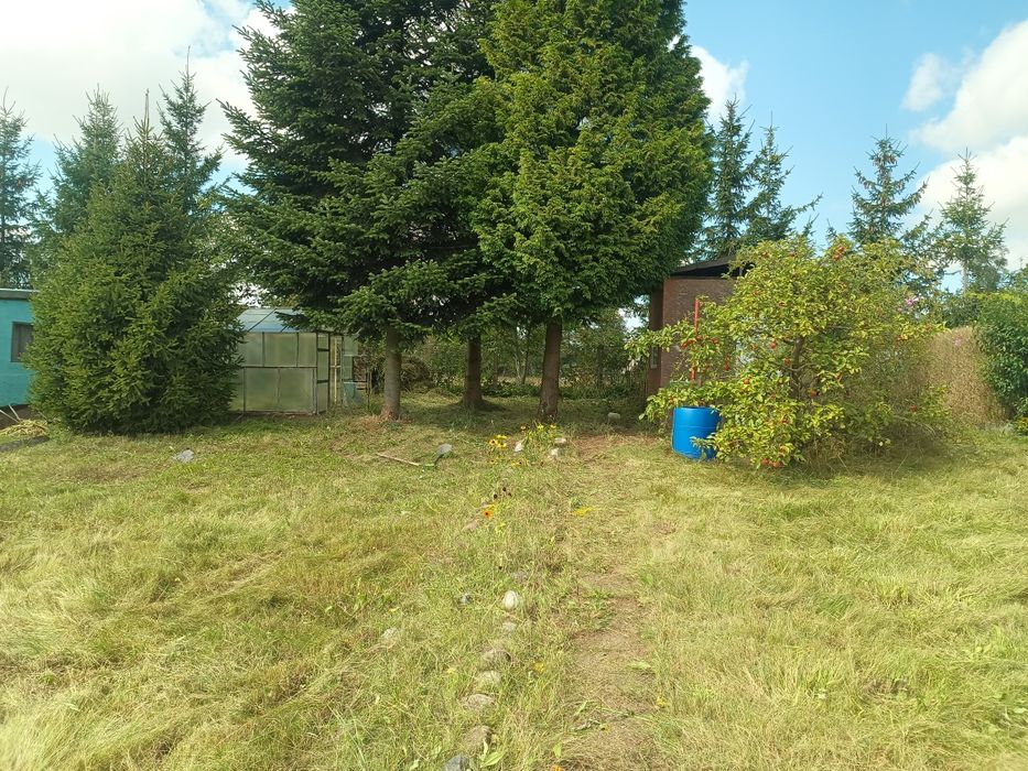 Działka ROD Bratek 309m Starogard Gdański
