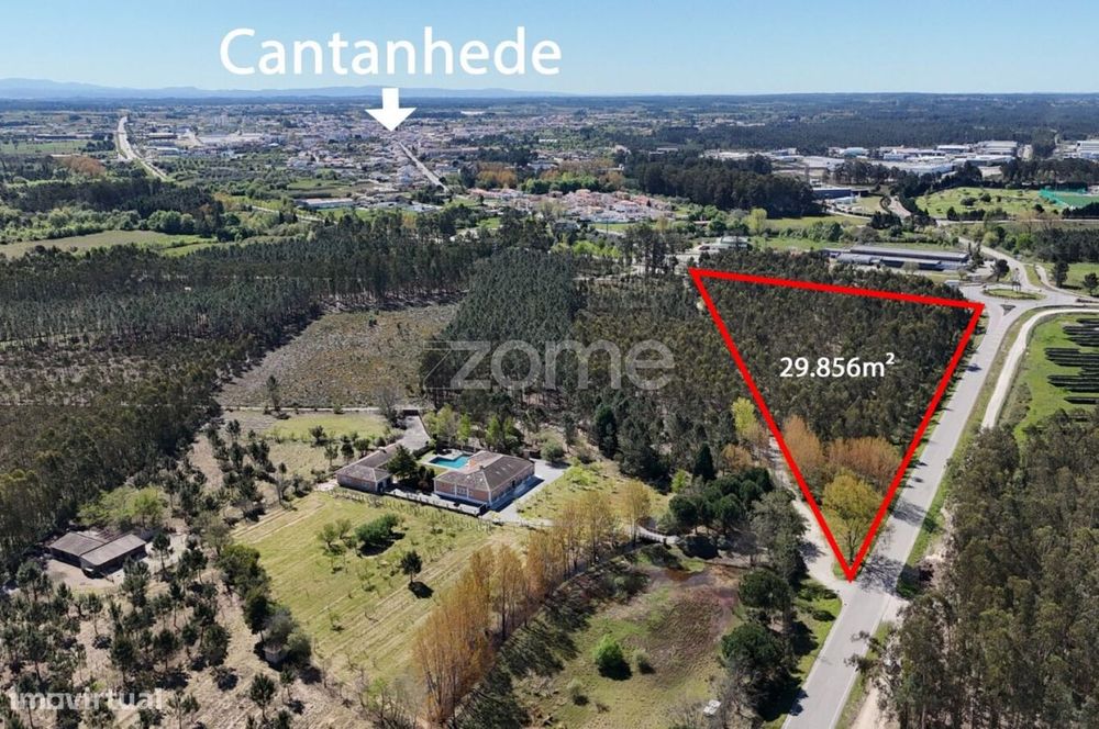 Oportunidade em Cantanhede: 3 Hectares de Potencial Ilimitado!