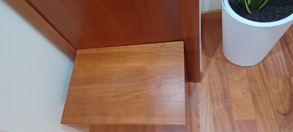 Bengaleiro cerejeira