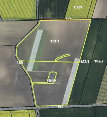 Na sprzedaż 5,29 ha ziemi rolnej – klasa IIIa/IIIb
