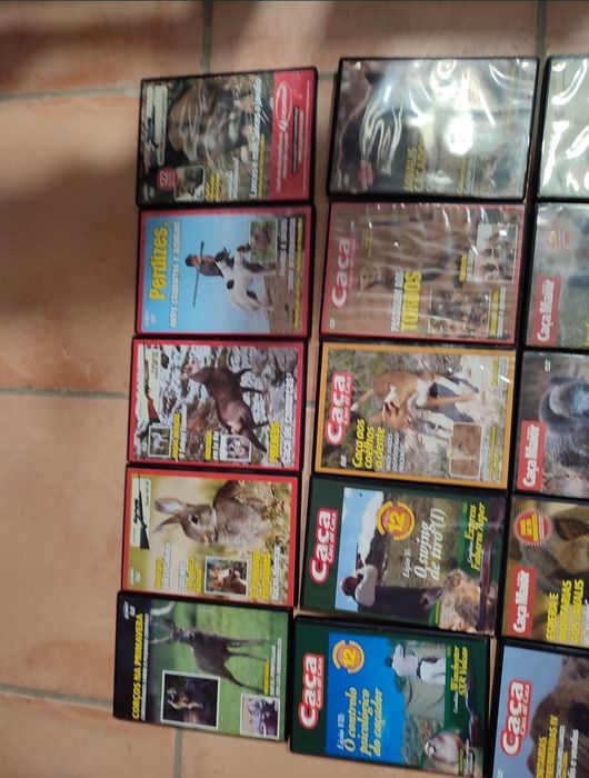 20 DVD's caça - Caça maior
