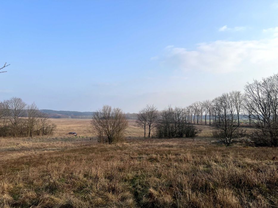 Działka na sprzedaż Drzeniów 87/1   3678 m²  gm. Cybinka