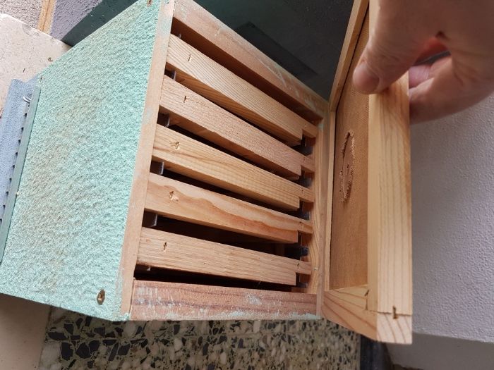 Colmeia para abelhas