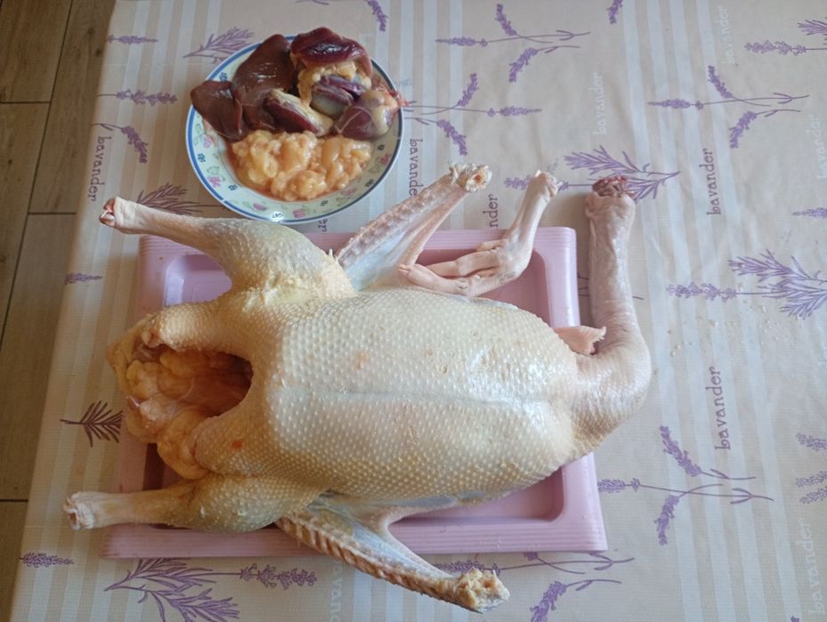 Gęsina gęsi  tuszki