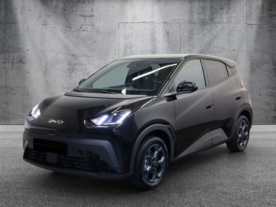 BYD Dolphin Surf