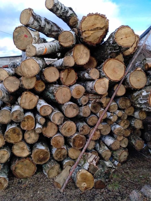 Drzewo opałowe liściaste sosnowe dowóz do uzgodnienia