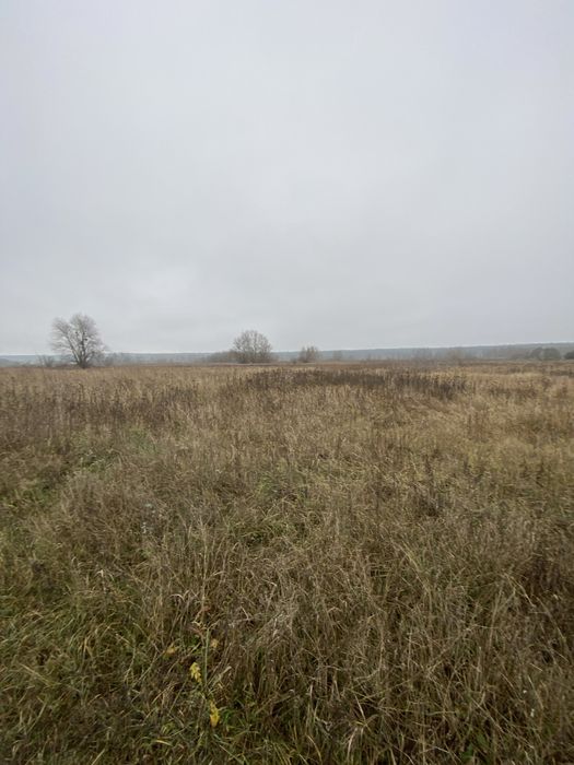 6 соток в Ірпені за кращою ціною! Ділянка під будинок, інвнстицію!