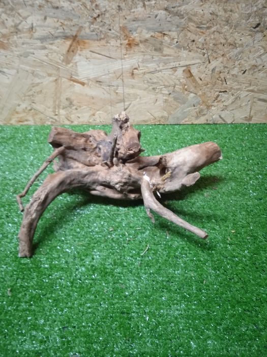 Korzeń do akwarium Red Moore Wood nr 410 o wymiarach 25/20/21