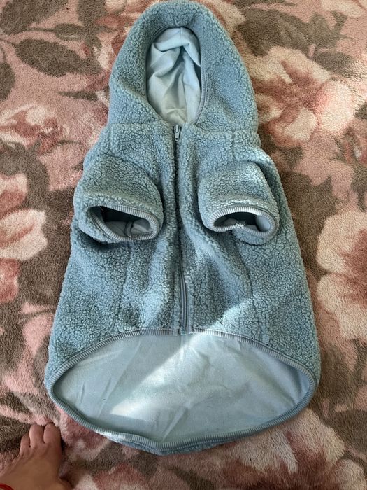 Куртка тедді для собак.