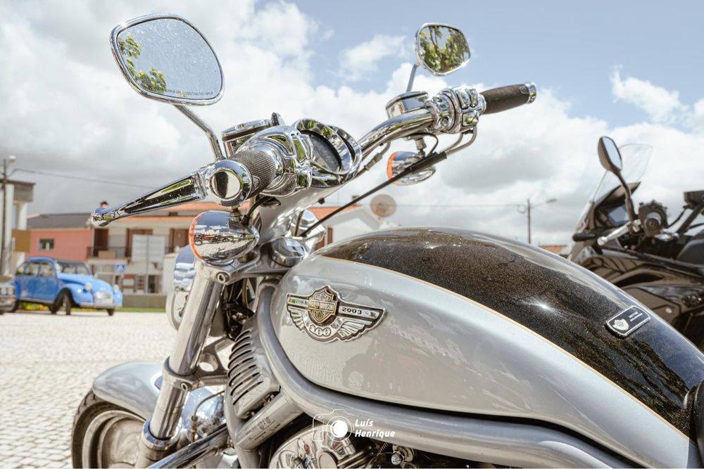 Venda harley v-rod
