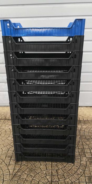 12 caixotes 50 X 29 X 9 cm