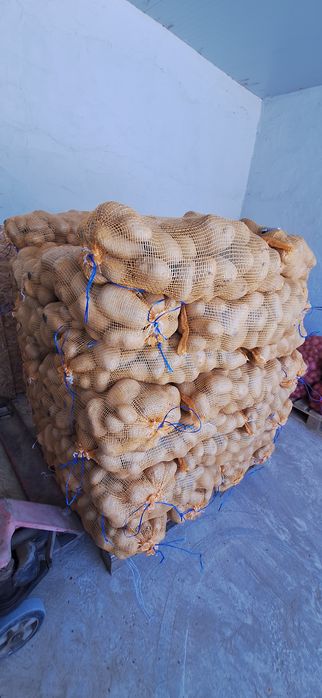 Batata para Fritar "Ágrias "