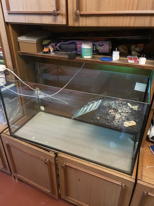 Акваріум з мостом  для черепах