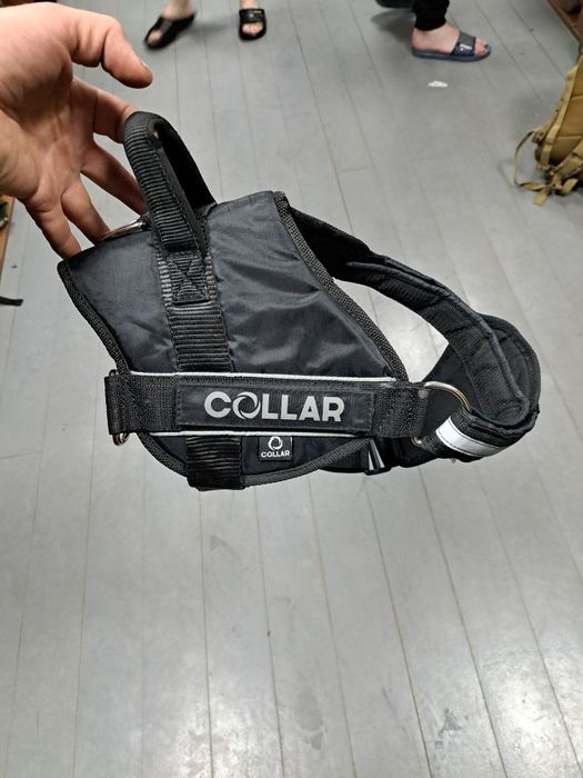 Шлея на великих собак