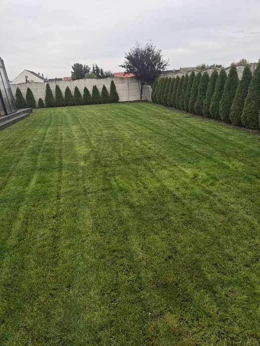 Usługi ogrodnicze, Uprawa glebogryzarką, rębakiem, wertykulacja