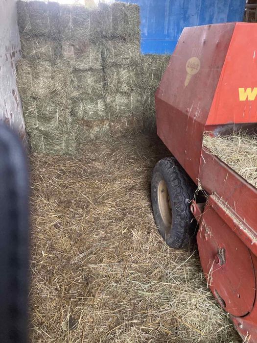 Сіно в тюках м. Борислав