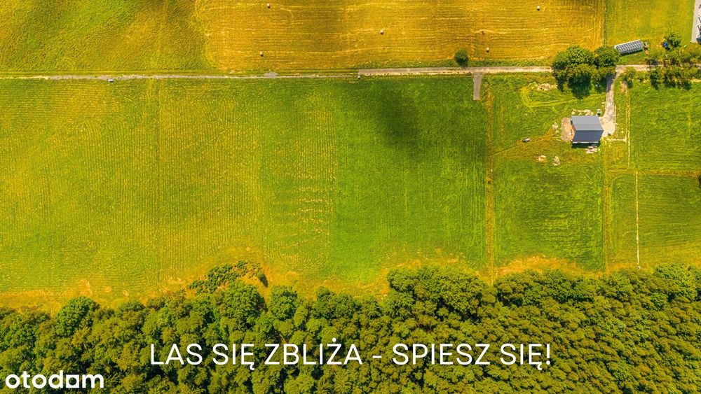 Działka przy lesie z widokiem na Świeradów Zdrój(Mirsk/Leśna/Wolimierz